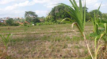 Gambar 1 Land for rent in Nyanyi close to the beach