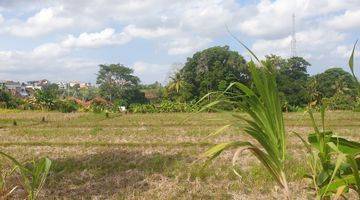 Gambar 5 Land for rent in Nyanyi close to the beach