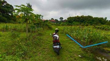 Gambar 1 Buc Tanah Murah 2 Are Nusa Dua Dekat Pandawa