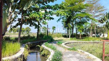 Gambar 4 LAHAN EX RESTO DI BOYOLALI BANYUDONO SANGAT MENARIK DANAU TENGAH SAWAH