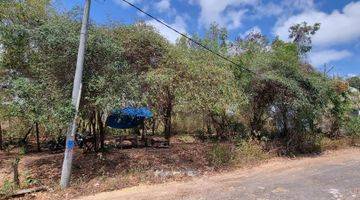 Gambar 2 Super Rare Freehold Land In Central Jimbaran 