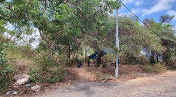 Gambar 4 Super Rare Freehold Land In Central Jimbaran 