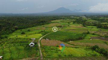 Gambar 2 Tanah Impian di Megati, Tabanan View Spektakuler