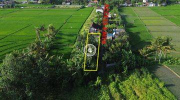 Gambar 3 Tanah View Sawah di Menua Nyitdah Cocok Buat Villa