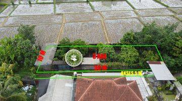 Gambar 1 Tanah di Pandak Gede Zona Kuning View Sawah Dekat Tanah Lot