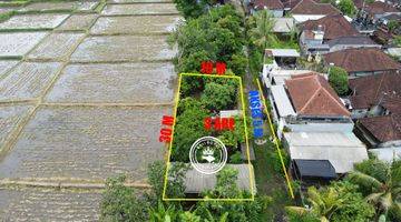 Gambar 2 Tanah di Pandak Gede Zona Kuning View Sawah Dekat Tanah Lot