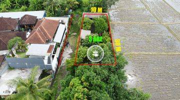 Gambar 4 Tanah di Pandak Gede Zona Kuning View Sawah Dekat Tanah Lot