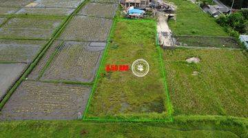 Gambar 3 Tanah di Kedungu View Laut Dan Sawah Complex Villa