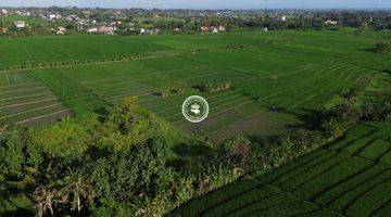 Gambar 4 Tanah View Sawah di Menua Nyitdah Cocok Buat Villa