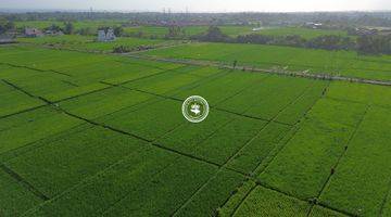 Gambar 5 Tanah View Sawah di Menua Nyitdah Cocok Buat Villa