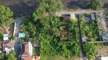 Gambar 4 Tanah di Sekar Sari Pantai Tangtu SHM