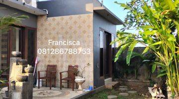 Gambar 1 House For Rent / Disewakan Rumah Di Jimbaran