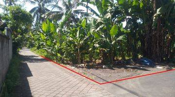 Gambar 3 Tanah Perumahan Hook Dekat Green School Abian Semal Bali