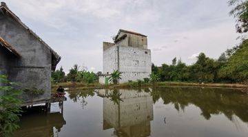 Gambar 4 Rumah walet daerah metro