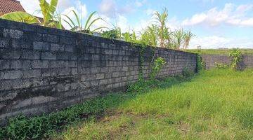 Gambar 4 Tanah view sawah di Lukluk Badung 20 menit ke Canggu