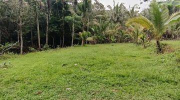 Gambar 2 Land for leasehold in Tabanan Bali close Sing Sing Angin waterfall