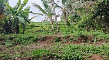 Gambar 3 Land for leasehold in Tabanan Bali close Sing Sing Angin waterfall