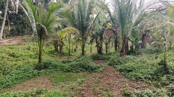 Gambar 4 Land for leasehold in Tabanan Bali close Sing Sing Angin waterfall