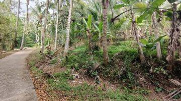 Gambar 5 Land for leasehold in Tabanan Bali close Sing Sing Angin waterfall