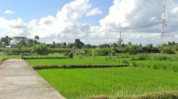 Gambar 1 Tanah view sawah dan gunung di Keramas Gianyar Bali