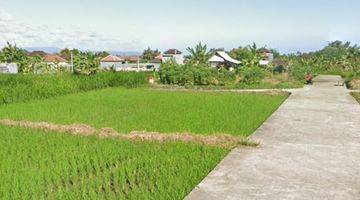 Gambar 2 Tanah view sawah dan gunung di Keramas Gianyar Bali