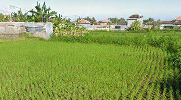 Gambar 3 Tanah view sawah dan gunung di Keramas Gianyar Bali