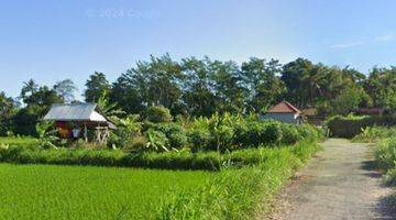 Gambar 4 Tanah view sawah dan gunung di Keramas Gianyar Bali