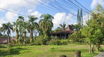 Gambar 1 Land For Leasehold In Main Road Tirta Tawar Ubud Bali