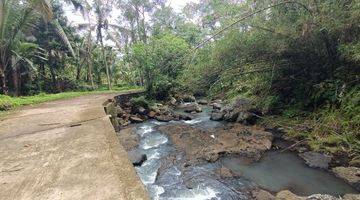 Gambar 1 Land for leasehold in Tabanan Bali close Sing Sing Angin waterfall