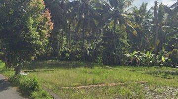 Gambar 3 Land For Leasehold In Main Road Tirta Tawar Ubud Bali