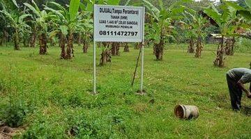 Gambar 4 Dijual TANAH KEBUN dipinggir Jalan Desa di RAWALO