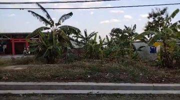 Gambar 3 Dijual  Tanah di Bulusan, Tembalang SHM - Sertifikat Hak Milik 480 M²