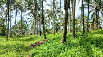 Gambar 3 Tanah Gunung Salak Kemetug Selemadeg Timur Dkt Manca Resto Bali