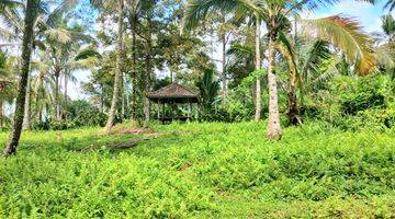 Gambar 4 Tanah Gunung Salak Kemetug Selemadeg Timur Dkt Manca Resto Bali