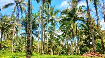 Gambar 1 Tanah Gunung Salak Kemetug Selemadeg Timur Dkt Manca Resto Bali