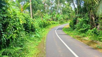 Gambar 5 Tanah Gunung Salak Kemetug Selemadeg Timur Dkt Manca Resto Bali