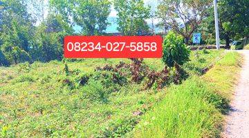 Gambar 4 Dijual Tanah 1433 M2 Jl Ida Bagus Mantra Tulikup Gianyar Bali