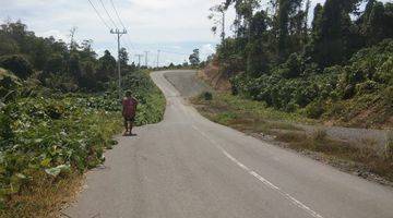 Gambar 3 Tanah Wisata Raja Ampat Depan Pelabuhan Waisai Di jual