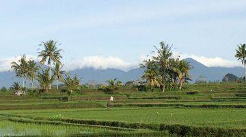 Gambar 2 Tanah di tegalalalang gianyar