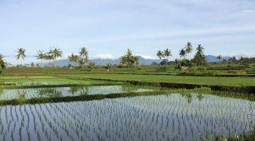 Gambar 3 Tanah di tegalalalang gianyar