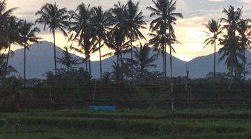 Gambar 4 Tanah di tegalalalang gianyar