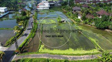 Gambar 4 Tanah 1390 m² di Keramas Gianyar Dekat Pantai