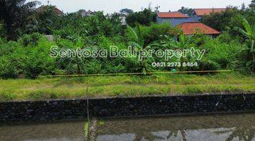 Gambar 4 Tanah 261m2 di Semer Kerobokan View Sawah , Lingkungan Villa