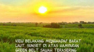 foto lainnya tanah murah strategis jalan raya