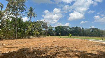 Gambar 3 View Sawah 100 Jt An Tanah Dijual Sleman, Barat Pasar Godean