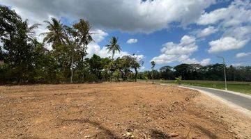 Gambar 5 View Sawah 100 Jt An Tanah Dijual Sleman, Barat Pasar Godean