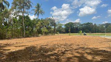 Gambar 4 View Sawah 100 Jt An Tanah Dijual Sleman, Barat Pasar Godean