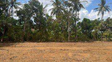 Gambar 2 View Sawah 100 Jt An Tanah Dijual Sleman, Barat Pasar Godean