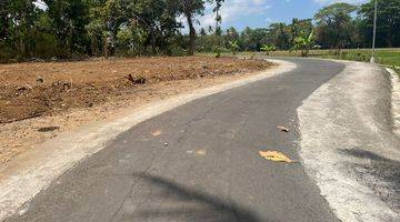 Gambar 2 View Sawah 100 Jt An Tanah Dijual Sleman, Barat Pasar Godean