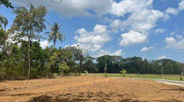 Gambar 5 View Sawah 100 Jt An Tanah Dijual Sleman, Barat Pasar Godean